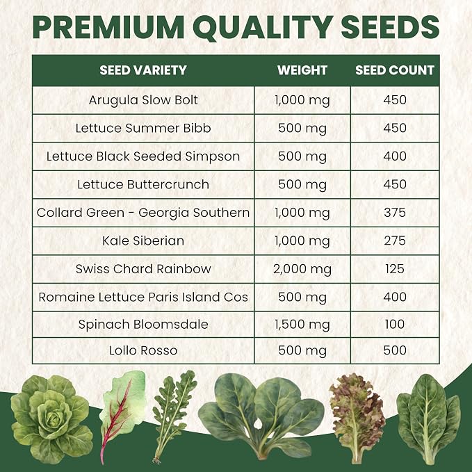 Leafy Greens Seeds | 10 Individual Packs | 2026 Season | Non-GMO | Lettuce, Kale, Spinach, Arugula & More! | for Planting Indoor & Outdoor | by Family Sown