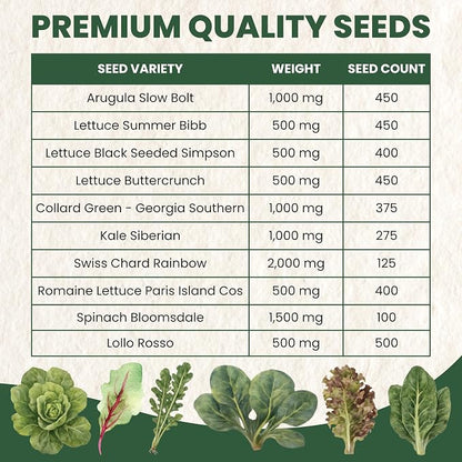 Leafy Greens Seeds | 10 Individual Packs | 2026 Season | Non-GMO | Lettuce, Kale, Spinach, Arugula & More! | for Planting Indoor & Outdoor | by Family Sown