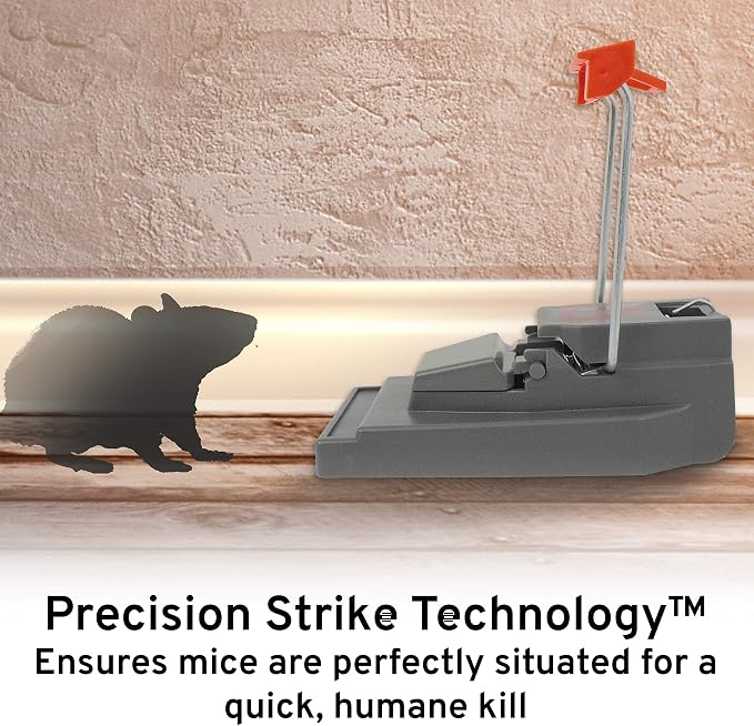 Victor M123SSR Quick-Kill Easy Set Mouse Trap,6 Reusable Victor Mouse Traps,(Pack of 6)
