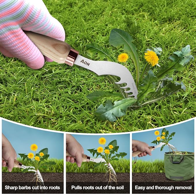 AON 2-Pack Crack Weeder & Root Remover Tool Set for Patios and Gardens | Heat-Treated, Rust-Resistant Steel Resists Bending and Breaking, Ergonomic Ash Wood Handles Offer a Comfortable Grip