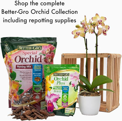 Better-Gro Special Orchid Mix - Premium Grade Orchid Bark Potting Mix for Potting,Repotting,Enhanced Drainage,Air Flow & Root Ventilation,for Phalaenopsis,Cattleyas,Dendrobiums,8 Quarts,(Pack of 2)