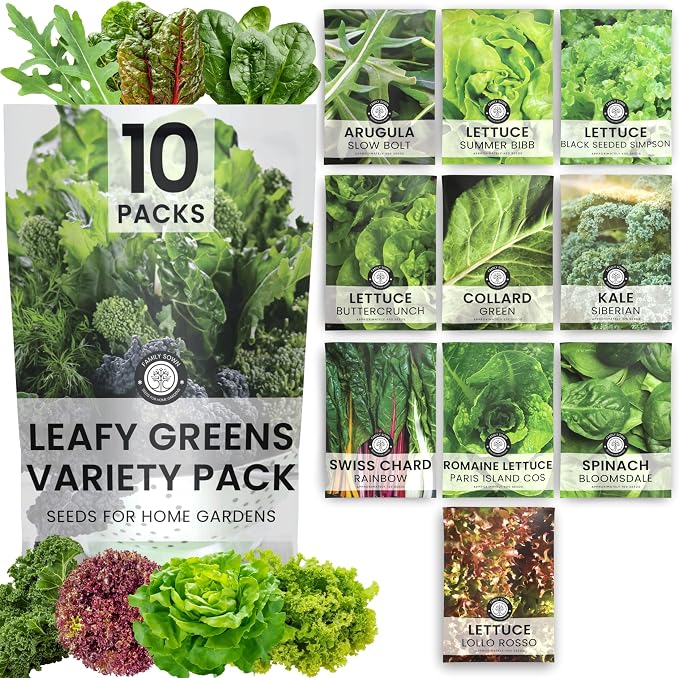 Leafy Greens Seeds | 10 Individual Packs | 2026 Season | Non-GMO | Lettuce, Kale, Spinach, Arugula & More! | for Planting Indoor & Outdoor | by Family Sown