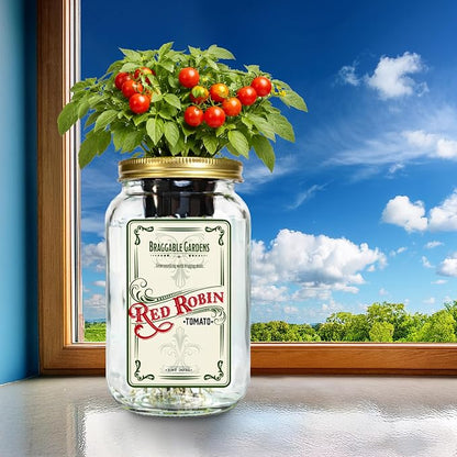 Red Robin Cherry Tomato Indoor Garden Kit – Mason Jar Hydroponic Tomato Grow Kit – Windowsill Countertop Tomato Planter – Grow Tomatoes Indoors