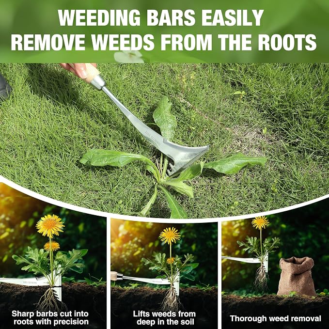 WORKPRO Crack Weeder, 13.5" Stainless Steel Weeding Tool, Wooden Handle | L-Shaped Side-Walk Weed Puller Spatula, for Garden Lawn Yard Patio Terrace Paving Garden Tool