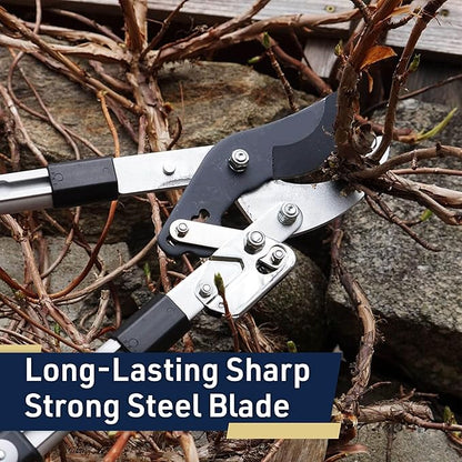 Tree Trimmer Loppers - Double Ratcheting Bypass Pruners - Extendable 26" - 40" Long Handles - Loppers for Tree Trimming Heavy Duty by Kings County Tools