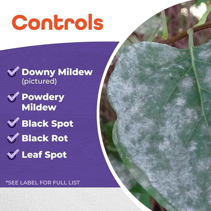 Bonide Copper Fungicide, 1 lb. Ready-to-Use Spray or Dust for Organic Gardening, Controls Common Diseases in Lawn & Garden