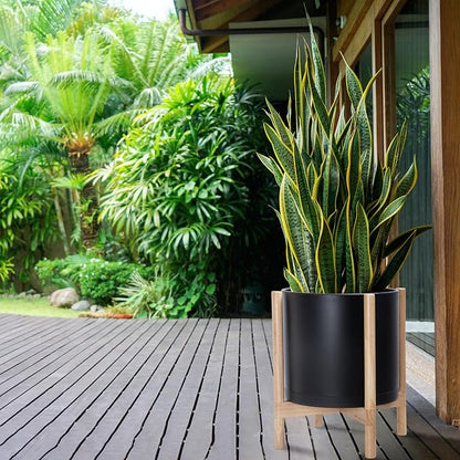 D'vine Dev Plastic Pot with Natural Wood Stand, Black, 14 in, 55-C-S-2 | Mid-Century Inspired Design, Elevated Plant Display, Clean Lines, Sturdy Support, Modern Space-Saving Style