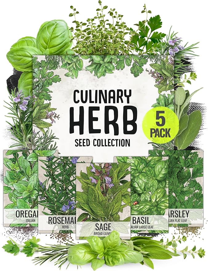 Seed Needs Italian Herb Seeds Variety Pack of 5 Rosemary Basil Sage & More