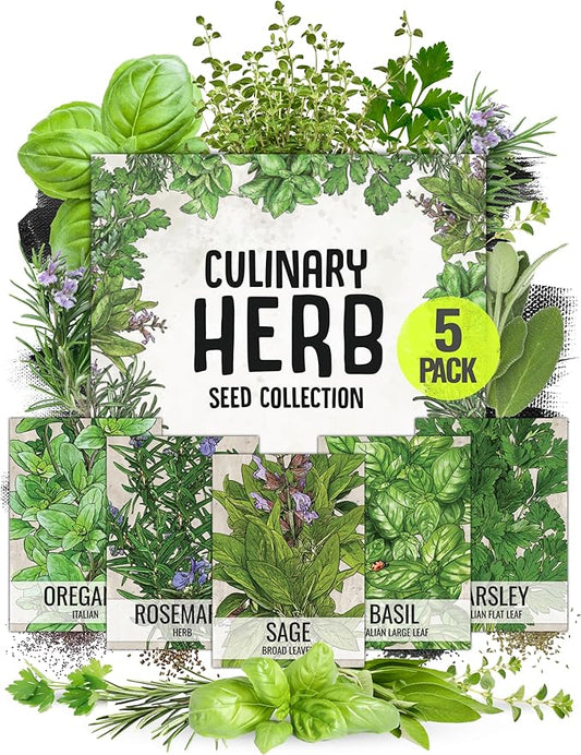 Seed Needs Italian Herb Seeds Variety Pack of 5 Rosemary Basil Sage & More