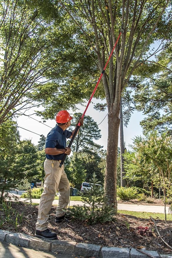 Corona TP 6870 MAX RazorTOOTH DualCOMPOUND Action 14-ft. Tree Pruner