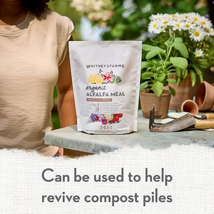 Whitney Farms Organic Alfalfa Meal 2-0.3.2 - Slow-Release Nitrogen Fertilizer and Soil Enhancer for Vegetables, Flowers, Roses, Herbs, and Shrubs, 2 lb.