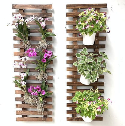 ShopLaLa Wall Planter (90cm, 2 Pack) Hanging Planters for Indoor Plants | Air Plant Succulent Holder, Plant Stand, Vertical Garden Large Stylish Wall Decor for Living Room, Room Decor for Teens