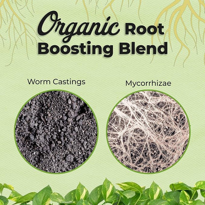 Organic Aroid Potting Mix by Perfect Plants | Chunky Gardening Medium for Tropical Indoor House Plants | Peat Free | Proper Drainage (8qt)