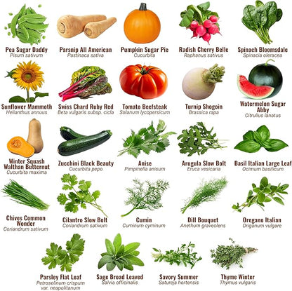 Vegetable, Fruit & Herb Seeds | 44 Individual Packs | 2026 Season | Non-GMO, High Yield - 15,000+ Seeds | Tomato, Cucumber, Corn, Basil and More | for Indoor & Outdoor Garden Planting