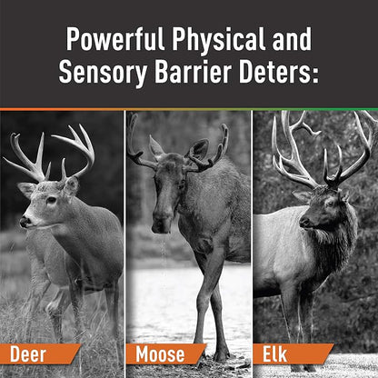 Messina Wildlife CLI-039 3/8-Inch Clips for Deer Repellent Fiberglass Stakes - 30 Pack, Black