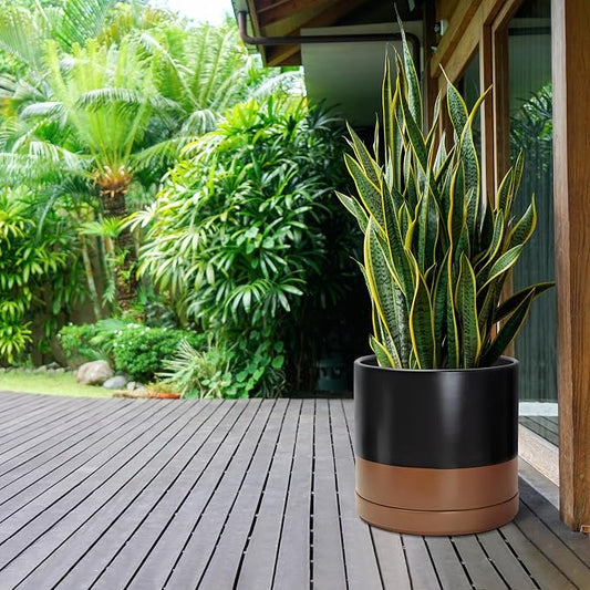 D'vine Dev 14 Inch Ceramic Planter Pot with Drainage Hole and Saucer, Indoor Cylinder Round Planter Pot, Black/Speckled Tan, 94-O-G-7