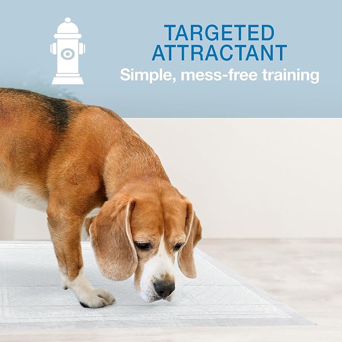 Four Paws Wee-Wee Super Absorbent Insta-Rise Dog Pee Pads, 10 Count | Edge leak & runoff protection, leak-proof puppy pads, built-in attractant, dog housebreaking, all day protection, 22" x 23"