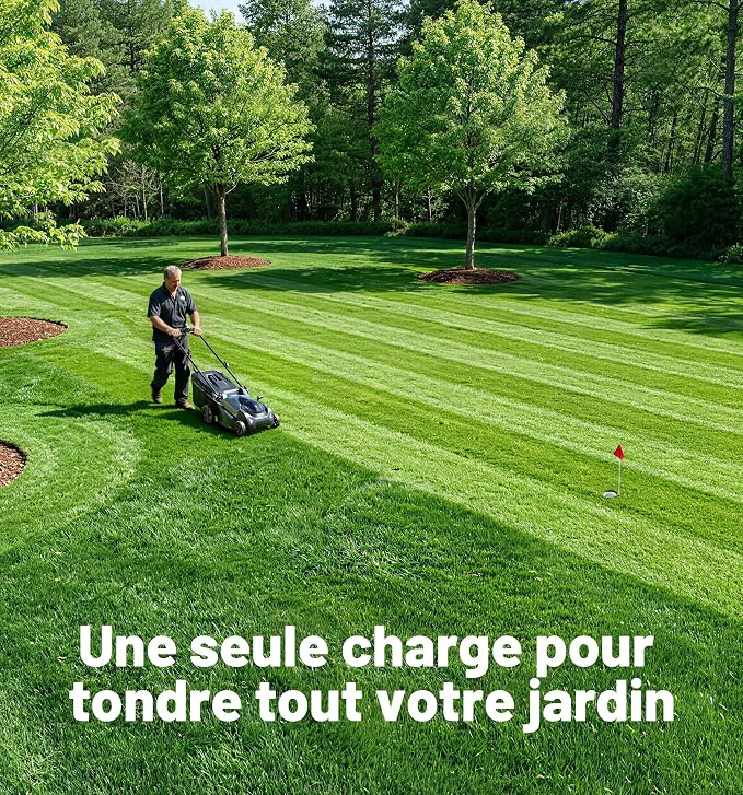 40V 18'' (Push) Extended Runtime Lawn Mower, 2-in-1 Mulching/Bagging Brushless with 6-Position Height Adjustment, Include 8.0Ah Battery x 2 and Rapid Charger