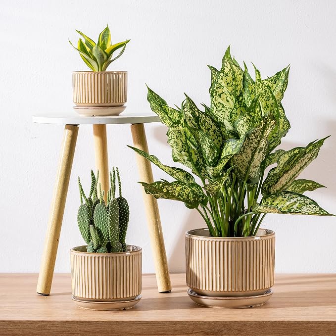 SURE YUESI Ceramic Plant Pots Set of 3, Indoor Outdoor Planters with Drainage Hole and Saucer, Ceramic Flower Pots for Indoor Plants, 4.3+5.5+6.8 Inch, Home, Garden, Patio and Office, Glossy Beige