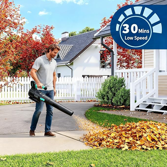 DEXSO Clearance Cordless Leaf Blower - 650 CFM / 200 MPH 2 Speed 21 V Lithium-ion 4.0Ah Battery and Charger Included, Lightweight Electric Leaf Blowers for Lawn, Yard Care, Leaves, Dust