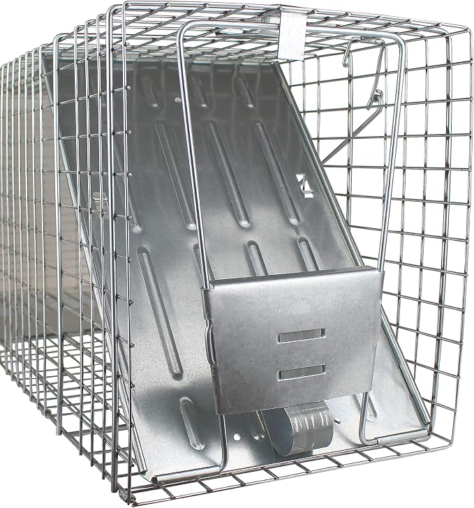 Havahart Large 1-Door Live Animal Trap for Raccoons, Cats, Bobcats, Beavers | Heavy Duty Humane Catch and Release Cage Trap for Outdoor Pest Control, 1079SR