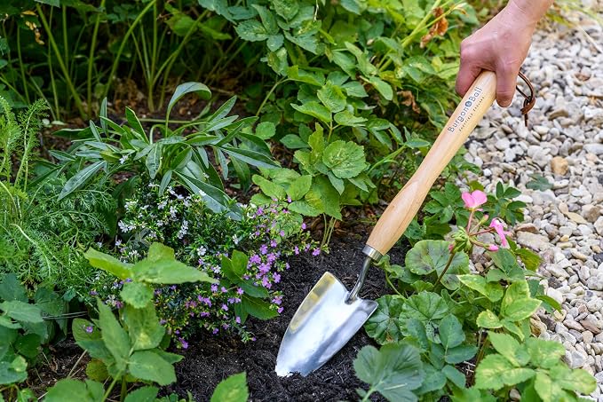 Burgon & Ball Mid-Handled Stainless Steel Trowel, Wood Grip