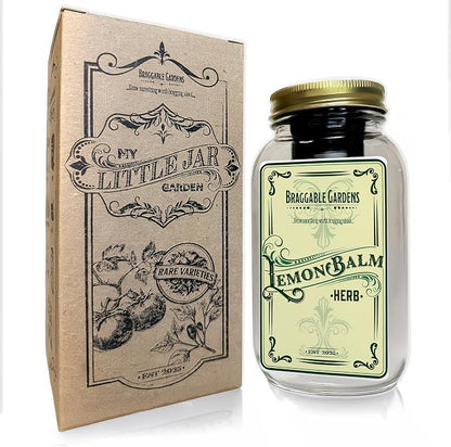 Lemon Balm Indoor Herb Garden Kit – Mason Jar Hydroponic Grow Kit – Windowsill Countertop Herb Planter – Grow Fresh Lemon Balm Indoors