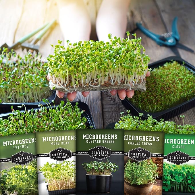 Microgreens Seeds Variety Pack - 5 Heirloom Types for Indoor Sprouting | Mustard, Mung Bean, Curled Cress, Clover & Lettuce – Fast-Growing Non-GMO Heirloom Starter Seeds – Survival Garden Seeds