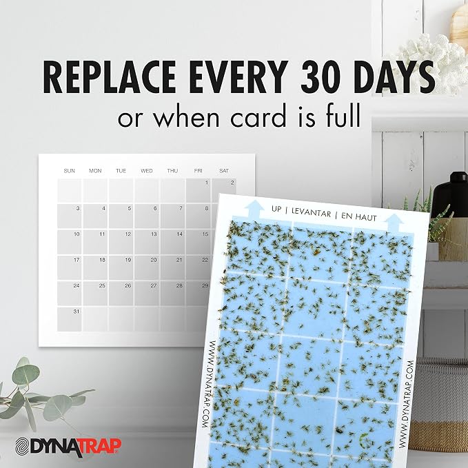 DynaTrap 230093 Replacement StickyTech Glue Cards for Flylight Indoor Plug-in Fly and Flying Insects Trap for Indoor DynaTrap Models DT3009 and DT3019 -,6 Count (Pack of 6)
