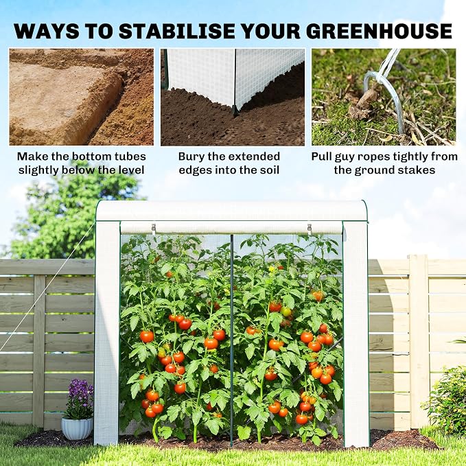 Outsunny Mini Greenhouse, Portable Greenhouse with Roll-Up Door and 2 Mesh Windows, Small Green House with PE Cover for Garden Patio Lawn, 78.7" x 29.5" x 74", White