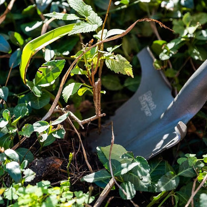 Root Slayer 22311 Nomad Garden Spade, Serrated Edge, Red