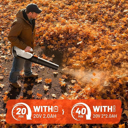 Litheli Cordless Leaf Blower with 2 Batteries, 2-Speed 350CFM for Dry Leaves, Dust & Car Drying