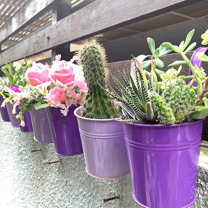 LaLaGreen Outdoor Rail Planter (4 in, 10 Pack) Purple Metal Railing Pots | Rail hanging planters for balcony, apartment, patio, porch, deck, herb, succulent, cactus pots, outdoor plants