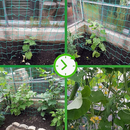 Trellis Netting for Climbing Plants - Heavy Duty Garden Trellis Netting for Cucumber, Vine, Fruits & Vegetables Tomato Plants Trellis Net, Climbing Vining Plants (1-Pack 8.2' x 6.6'Ft)