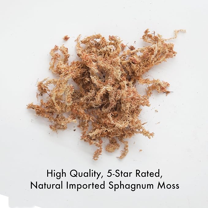 Better-Gro Premium Grade Orchid Moss - 100% Natural,Imported Sphagnum Moss for Orchids,Ferns,and Hostas,Excellent for Hanging Baskets and Propagating Plants - 190 Cubic Inches,(Pack of 12)