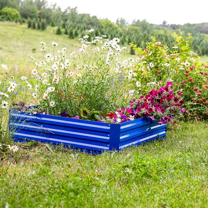 Sunnydaze Galvanized Raised Garden Bed - Outdoor Planter Box for Backyard or Patio - Steel Metal Raised Bed for Gardening Vegetables, Flowers, Herbs - 47 x 47 x 12 in - Blue - Square