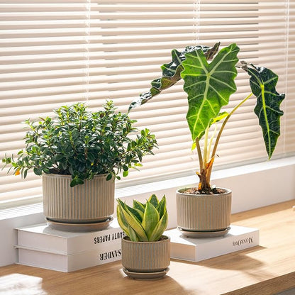SURE YUESI Ceramic Plant Pots Set of 3, Indoor Outdoor Planters with Drainage Hole and Saucer, Ceramic Flower Pots for Indoor Plants, 4.3+5.5+6.8 Inch, Home, Garden, Patio and Office, Matte Grey