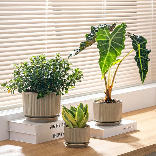 SURE YUESI Ceramic Plant Pots Set of 3, Indoor Outdoor Planters with Drainage Hole and Saucer, Ceramic Flower Pots for Indoor Plants, 4.3+5.5+6.8 Inch, Home, Garden, Patio and Office, Matte Grey