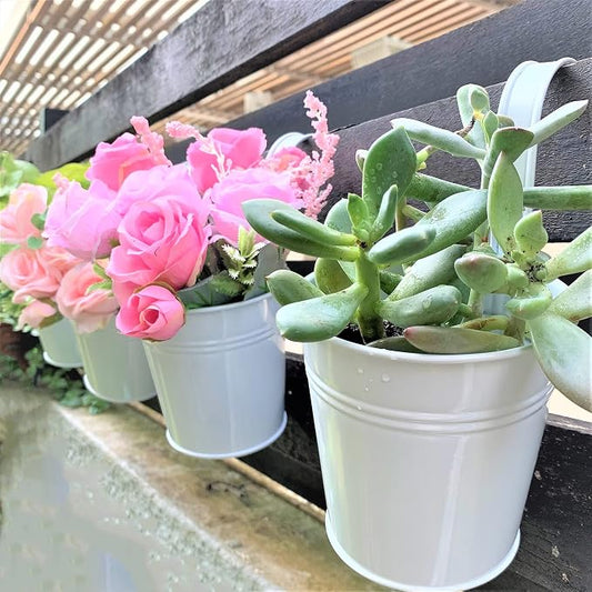LaLaGreen Rail Planter (6 in, 10 Pack) White Metal Iron Railing Pots | Balcony railing planters for apartment, patio, porch, deck, over rail, outdoor plants, flower boxes, plant hangers