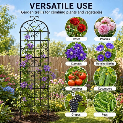 4-Pack 87" x 20" Butterfly Arch Black Metal Garden Trellises | Four rust-resistant metal trellises with butterfly arches, scrollwork, stakes, and support for roses, vines, or vegetables