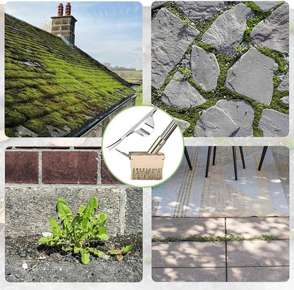 Crack Weeder Tool, Crevice Weeding Moss Brush with 2 Heads&Scraping Hook, A Hand Puller Tool, Moss Remover with Steel Handle for Cleaning Paving Joint Paver Sidewalk Patio Stone Driveway Deck