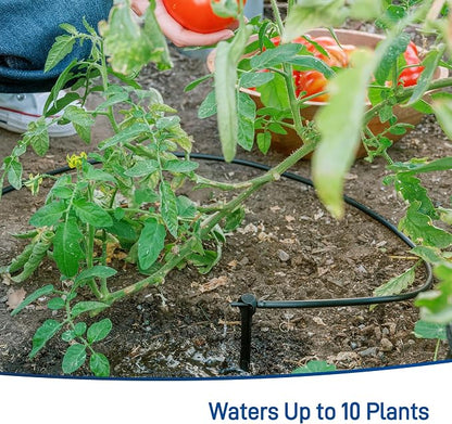 Orbit 91944 Tomato Garden Drip Irrigation System - Complete 10-Plant Watering Kit with Push-Connect Fittings, Water-Saving Design for Vegetables & Garden Boxes