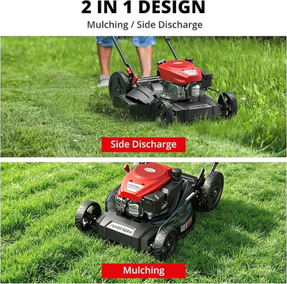 AMERISUN 21-Inch 2-in-1 Gas Push Lawn Mower, 144cc OHV Walk-Behind Mower for Yard, Mulching Side Discharge, 1.5–3.9 in Adjustable Cutting Height, 10-in Rear Wheels