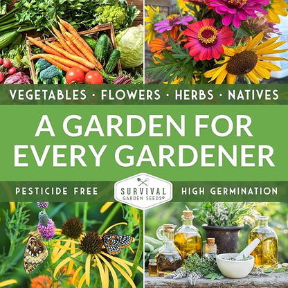 Vegetable Garden Seed Vault for Planting – 15 Pack Collection | Heirloom Non-GMO Family Garden Kit – Tomato, Lettuce, Cucumber, Squash – Indoor or Outdoor Growing – Survival Garden Seeds