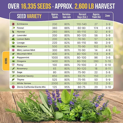 35 Medicinal & Tea Herb Seeds Variety Pack for Indoor & Outdoors. 16,335+ Non-GMO Heirloom Garden Seeds: Anise, Bergamot, Borage, Cilantro, Chamomile, Dandelion, Rosemary Seeds & More