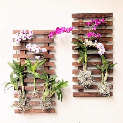 ShopLaLa Wall Planter (60cm, 2 Pack) Hanging Planters for Indoor Plants | Wall Mount Plant Stand Ladder Outdoor Vertical Garden Unique Live Orchid Planter Holder Display Large Wall Decor