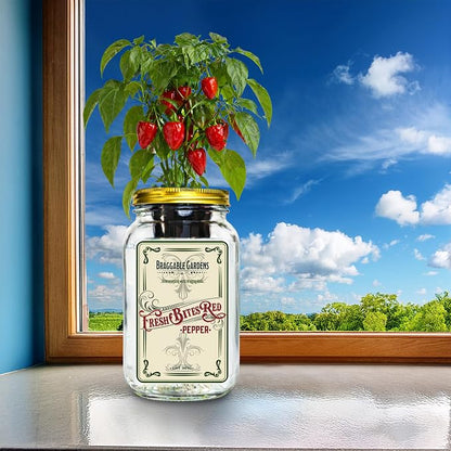 Fresh Bites Red Mini Bell Pepper Indoor Garden Kit – Mason Jar Hydroponic Pepper Grow Kit – Windowsill Countertop Pepper Planter – Grow Sweet Peppers Indoors