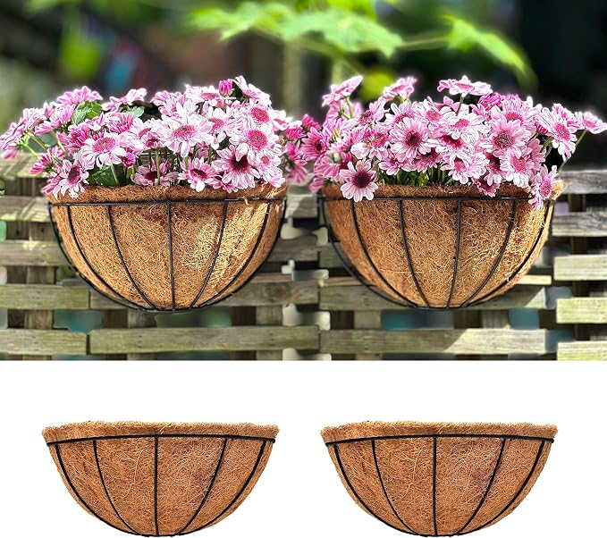 LaLaGreen Wall Hanging Planters (12 Inch, 2 Pack) Wall Mounted Flower Baskets with Coco Liner, Metal Iron Wire Plant Holder for Outdoor Window Box Herb Outside Fence Railing Deck Porch Balcony Garden
