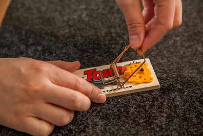Tomcat Wooden Mouse Traps - Disposable Non-Chemical Mouse Trap for Homes,Garages and Basements,4 Count (Pack of 3)