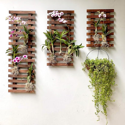 ShopLaLa Wall Planter (3 Pack) Wooden Hanging Planter for Indoor Plants | Air Plant Succulent Holder, Live Vertical Garden Large Wall Mounted Plant Stand Decor for Christmas Outdoor Garden